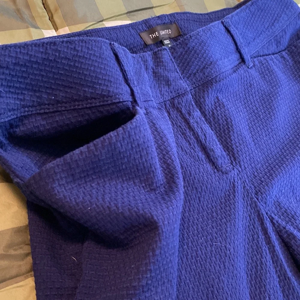 The Limited Navy Blue Textured Women's Shorts